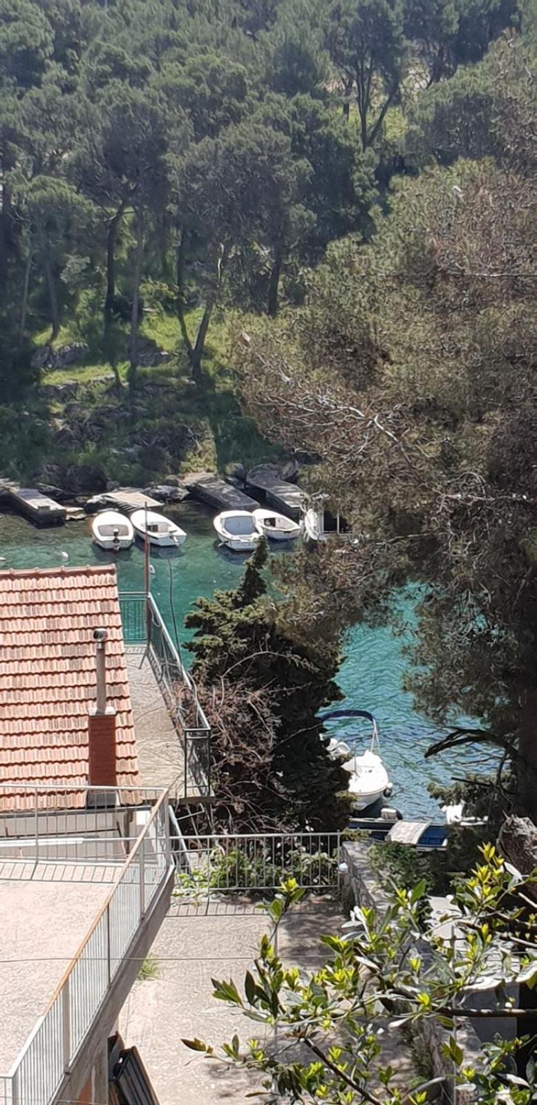 Apartman Pobuk Primošten Zewnętrze zdjęcie