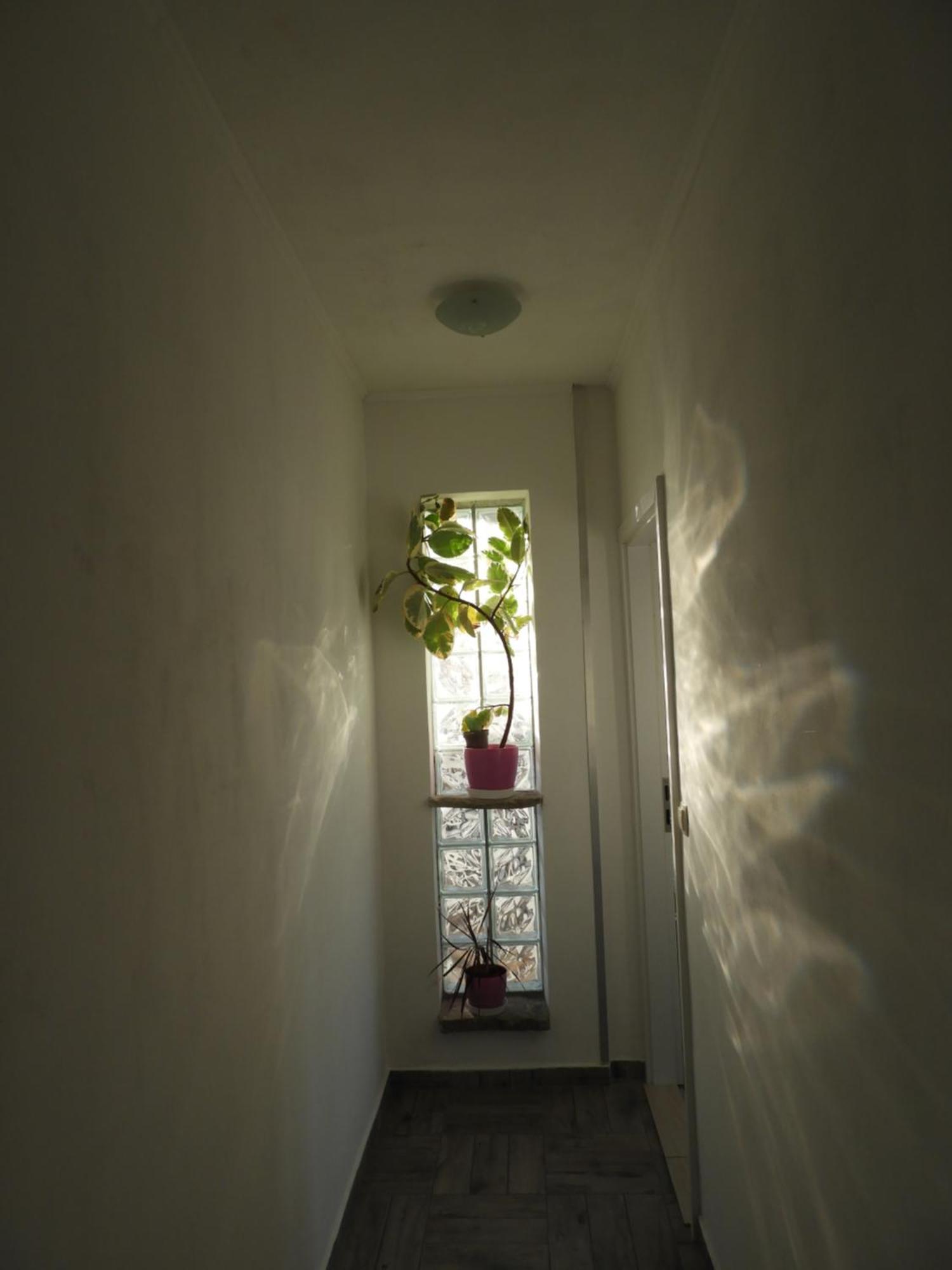 Apartman Pobuk Primošten Zewnętrze zdjęcie